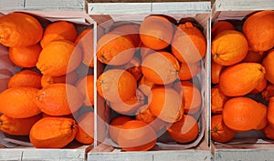 Ripe tasty tangerines with fresh leaves