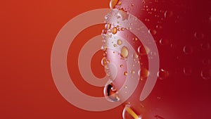 Ripe tomato in drops of water rotateson red studio background. Close up shot of red tomato with dripping droplets of