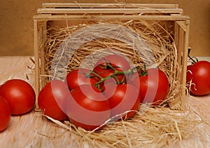 Ripe tomato fruits on a light background