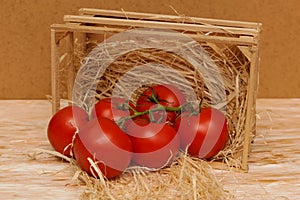 Ripe tomato fruits on a light background