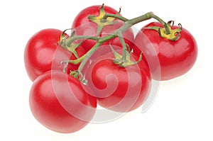 Ripe tomato