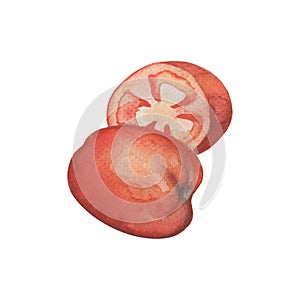 Ripe tomato whole and half cut. Juicy red tomato watercolor painting on white background.