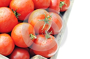 Ripe tomatoes