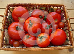 Ripe tomatoes in the basket on the table