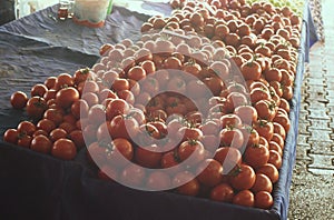 Ripe tomatoes on display at farmer`s market on summer day.