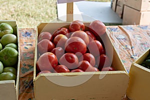 Ripe tomatoes on display at an outdoor market