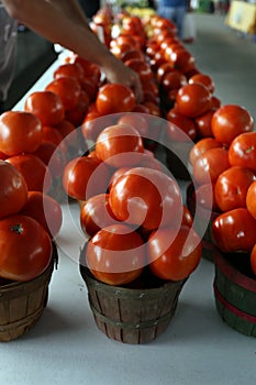 Ripe Tomatoes at Farmer's Market