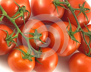 Ripe tomatoes isolated closeup