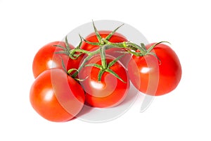 Ripe tomatoes isolated