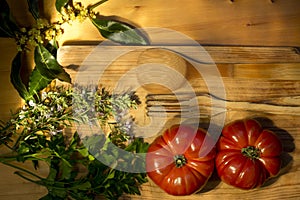 Ripe tomatoes, parsley, bay leaf and rosemary