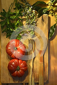 Ripe tomatoes, parsley bay leaf and rosemary vintage