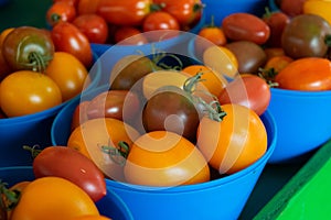Ripe Tomatoes For Sale at Jean Talon Market photo