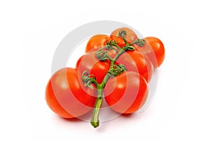 Ripe tomatoes on vine