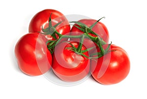 Ripe tomatoes on vine