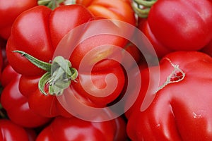 Ripe tomatoes in a wooden box in the garden