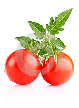 Ripe tomatos with leaf