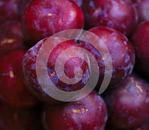 Ripe, tree-fresh fruit ready for shipping or consumption