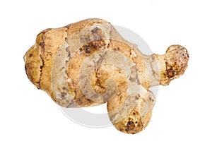 Ripe tuber of jerusalem artichoke isolated