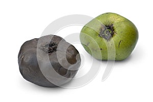 Ripe and unripe black sapote fruit