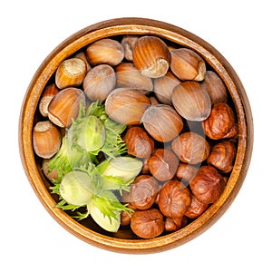 Ripe and unripe hazelnuts, shelled and unshelled hazelnuts, in a wooden bowl