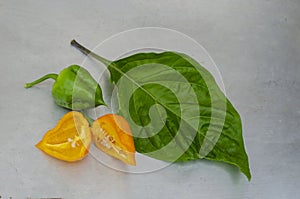 Ripe And Unripe Scotch Bonnet Pepper Beside Leaf