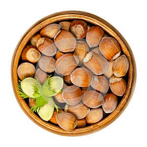 Ripe and unripe unshelled hazelnuts in a wooden bowl