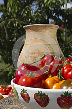 Ripe vegetables in a ceramic dish