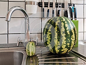 Ripe watermelon in the sink in the kitchen