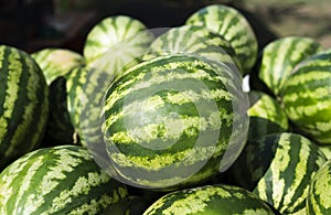 Ripe watermelons on the counter of a grocery store.