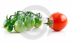 Ripe Wet Red and Green Tomatoes Isolated on White