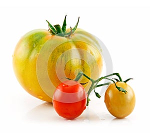 Ripe Wet Yellow and Red Tomatoes Isolated on White