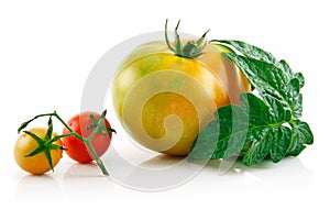 Ripe Wet Yellow and Red Tomatoes with Leaves