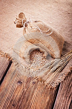 Ripe wheat in bags and ears