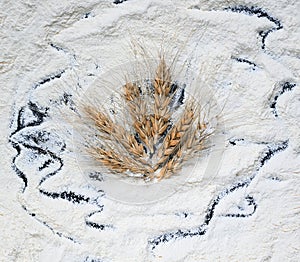 ripe wheat ears lying on a background of crisp wheat flour