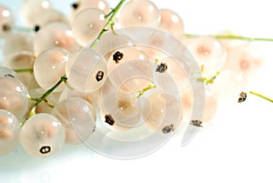 Ripe white currant