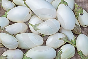 Ripe white eggplants