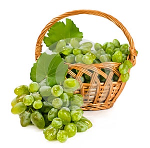 Ripe white grapes in a wicker basket