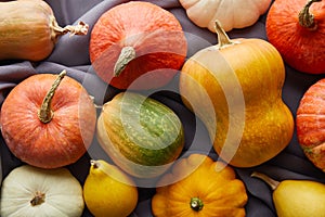 Ripe whole colorful pumpkins on grey