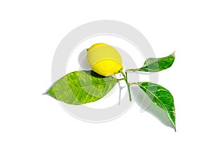 Ripe whole lemon with fresh leaves isolated on white background. Juicy fruit, vitamin ingredient