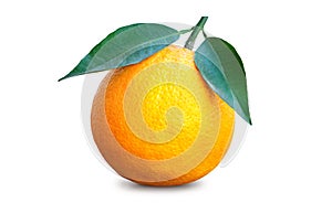 Ripe whole orange with two leaves