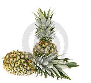 Maturo totale ananas 