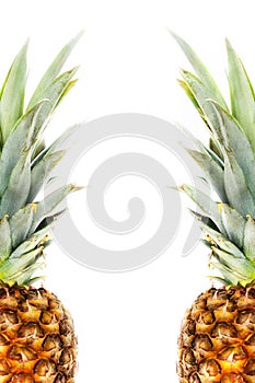 Ripe whole pineapple isolated on white background