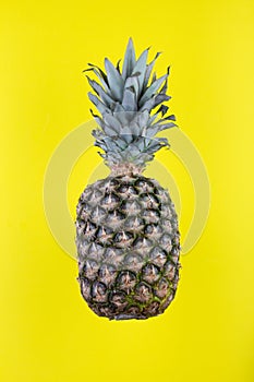 Ripe whole pineapple isolated on yellow background