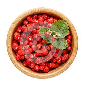 Ripe wild strawberry in wooden bowl isolated on white. Woodland strawberry, Fragaria vesca. Top view