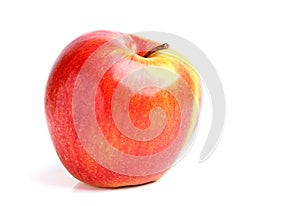 Ripe wry apple isolated. photo