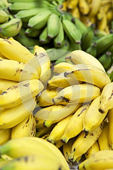 Ripe Yellow Banana Bunches at Brazilian Farmers Market