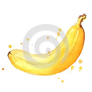 Ripe yellow banana watercolor ilustration