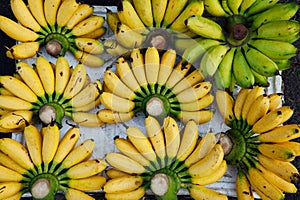 Ripe yellow bananas at the market