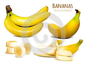 Ripe yellow bananas vector illustration