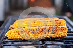 Ripe yellow corn is grilled. Barbecue and grill. Soft background